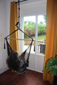 Maisons de vacances Gite des Hirondelles : photos des chambres