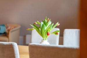 Ferienwohnung-1-im-Landhaus-am-Wildpark-Boek