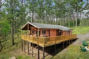 Modern Cabin w Hot Tub, Wifi & Huge Deck! - Baxter