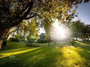 Olive Nature Hotel & SPA - Quinta Valle de Passos