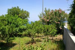 Apartment Drace 4550a