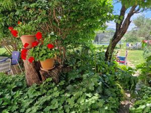 Apartments with parking space Mundanije, Rab - 22552