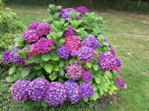 Maisons de vacances Well-equipped mobile home with garden in Normandy : photos des chambres