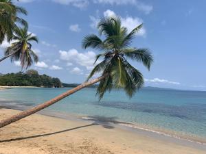 Beachfront Apartment Punta uva