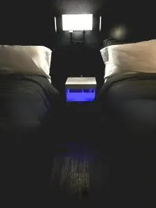 Starlight Stays - Saint Stephen