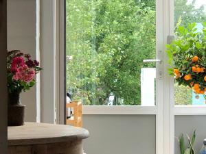 Charming sunroom with panorama view