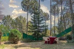 4BR cozy villa kasauli garden bone fire open terrace jhula by the north edge - Rājgarh