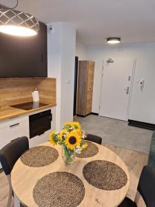 Apartament KarkonoSKI