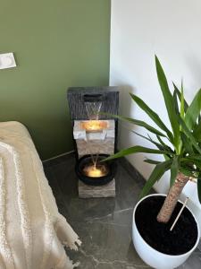 Appartements L’elegant cosy : photos des chambres
