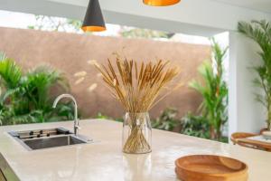 Sofia 2 - PROMO - Brand NEW - 2BDR - Huge Pool - Canggu