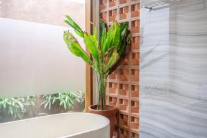 Sofia 2 - PROMO - Brand NEW - 2BDR - Huge Pool - Canggu