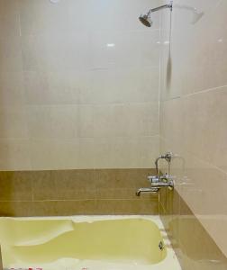 Luxurious Penthouse Terrace Studio at City center