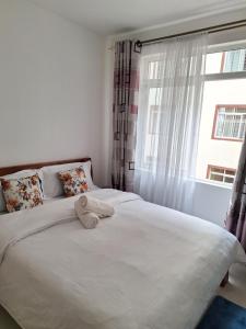 1 Bedroom, Greenzone Apartment Thindigua