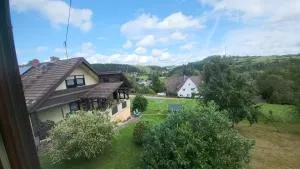 Vipapartament - Dunningen