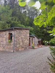 Le Ri de Vâ Maboge La Roche en Ardenne - Ortho