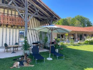 B&B / Chambres d'hotes L'Escafouchot de Moulere : photos des chambres
