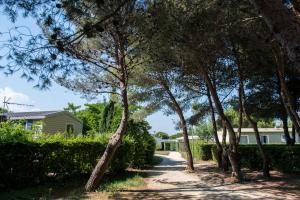 Camping Officiel Siblu Le Lac des Rêves