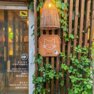 Architects Cat Hanok - Sindal House Gyeongju