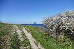 Ferienwohnung Strandläuferin