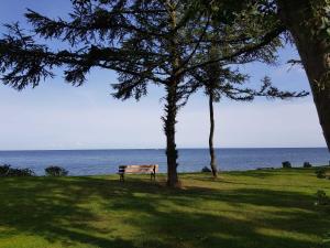 Ferienwohnung Strandläuferin