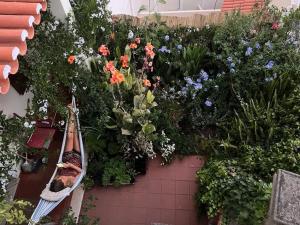 Casa Flow and Glow - 4hvězdičkové hotely ve městě Santiago do Cacém