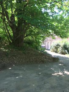 Grande maison, bordure forêt, La Citadelle