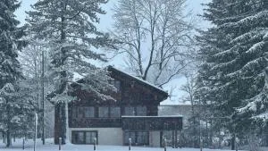 Chalet by the River in Gstaad With Sauna - Rougemont