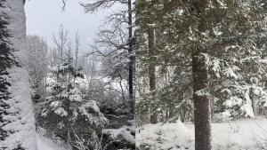 Chalet by the River in Gstaad With Sauna