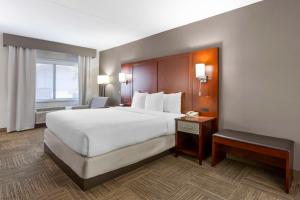 King Room - Non-Smoking room in Comfort Inn Edgewater on Hudson River