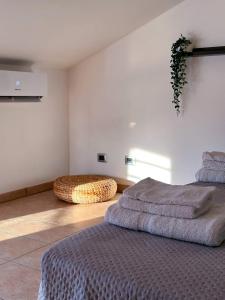 Casa Polgabe - Quadrilocale con vista - Montefalco