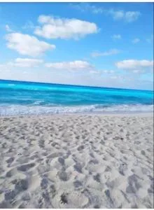 nice apartment near alamine - Dawwār ‘Abd al ‘Aţī Abū ‘Ajūz