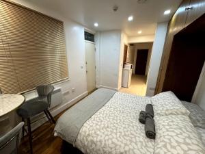 Lovely Hyde Park Studio Flat