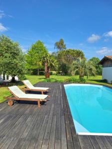 B&B / Chambres d'hotes Le spot Landais - Chambre cote foret : photos des chambres