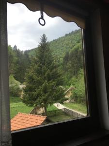 Guest House Atelšek