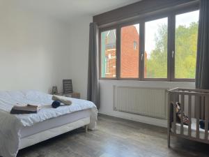 Maisons de vacances Maison Cosy 10 Personnes 3 SDB proche Lille : photos des chambres