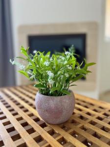 Duquesa Fairways, 2 beds, walking distance to Duquesa Port