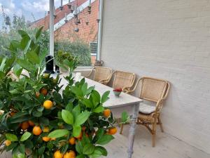 Charming sunroom with panorama view