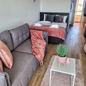 Calahonda Seeview Studio