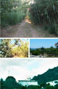 VILLALoddo1 frontemare Tertenia img27