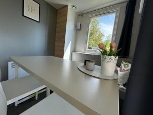 Low Budget - 4 persoons chalet aan het Lauwersmeer