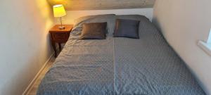 Domek do wynajęcia SkoSki