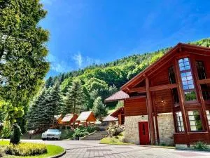 森林山庄酒店 - 旧松奇