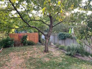Appartements Appartement Le Josephine avec jardin privatif : photos des chambres
