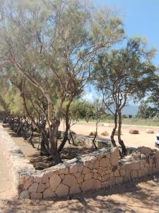Residenza i Fenicotteri img25
