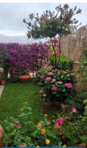 La Casa Di Luca img20