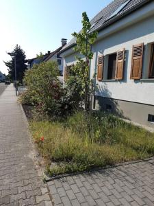 Apartment mit Innenhof, Rasen und Parkplatz
