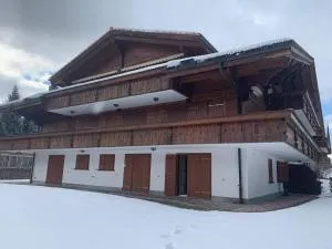 Spa Chalet in Ground Floor Cozy Duplex - Saanenmöser-hágó