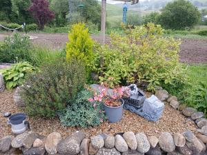 Bella May Mobile Home