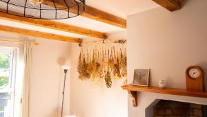 Stylish secluded cottage with beautiful views