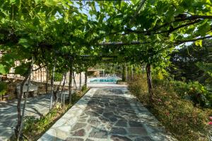 Borgo dellUccellaia - Ametista